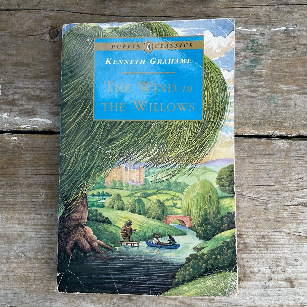 The wind in the willows paperback book